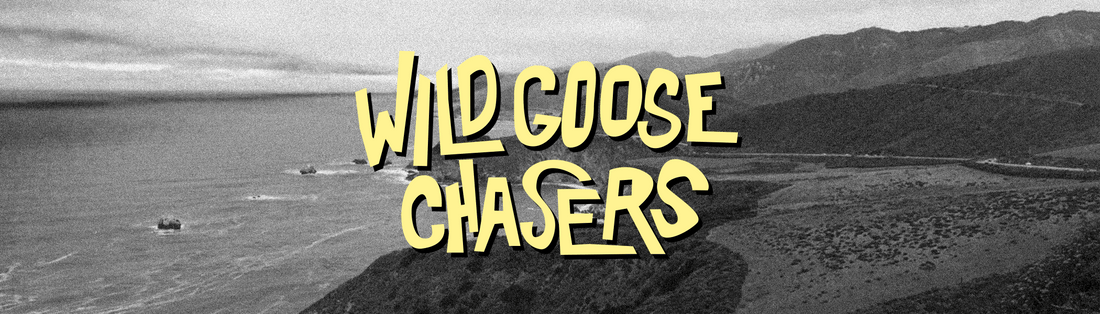 Blog 1: Introduction