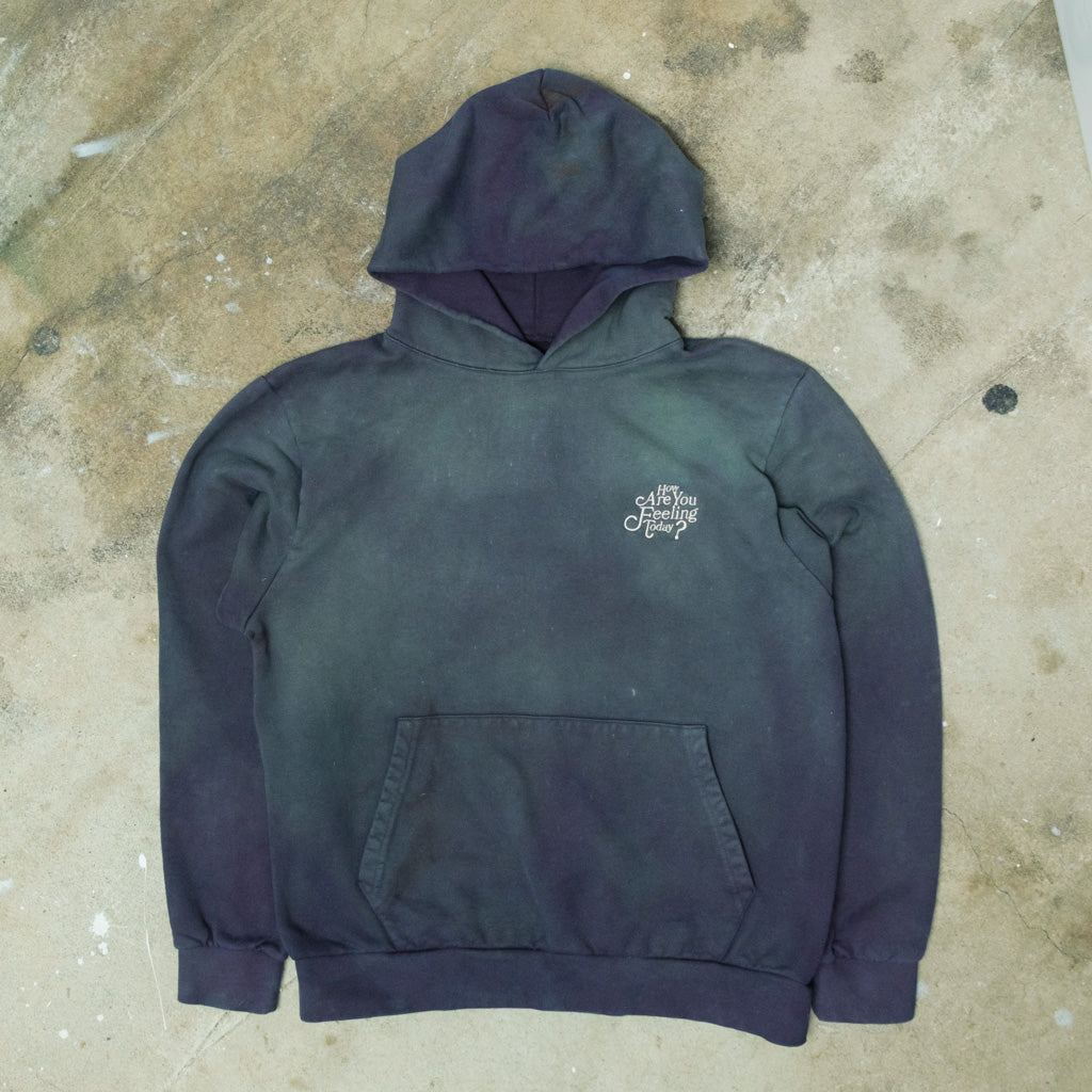 Heavyweight Logo Sweatshirt (Patina distress) (violet / green)
