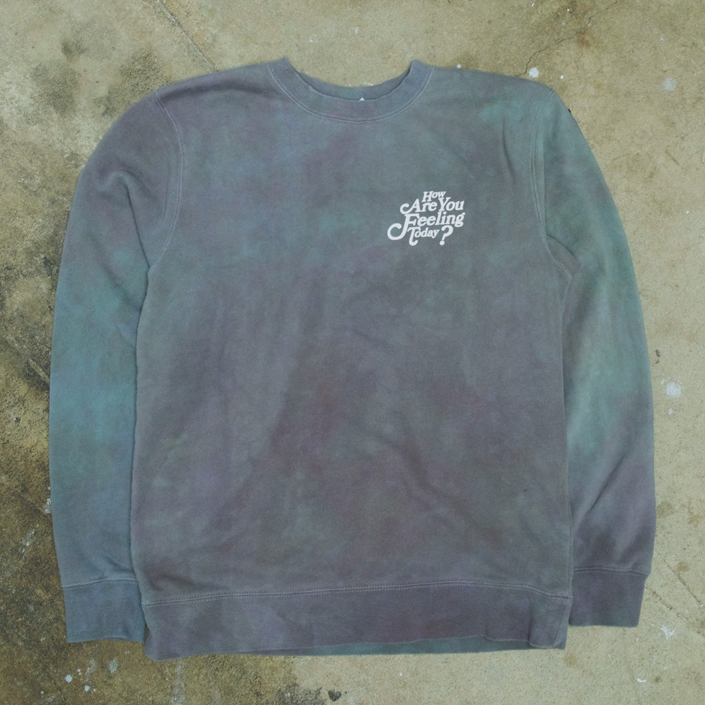 Faded crewneck sweatshirt (chameleon) (distressed)
